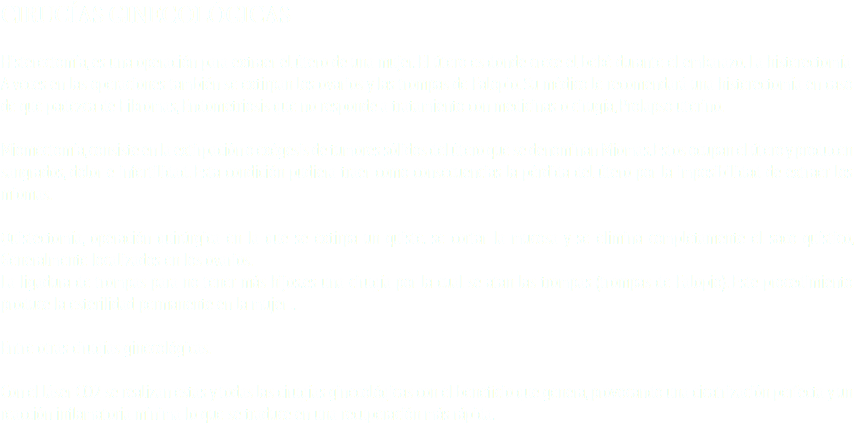 CIRUGÍAS GINECOLÓGICAS Histerectomía, es una operación para extraer el útero de una mujer. El útero es donde crece el bebé durante el embarazo. La histerectomía A veces en las operaciones también se extirpan los ovarios y las trompas de Falopio. Su médico le recomendará una histerectomía en caso de que padezca de Fibromas, Endometriosis que no responde a tratamiento con medicinas o cirugía, Prolapso uterino. Miomectomía, consiste en la extirpación o exégesis de tumores sólidos del útero que se denominan Miomas. Estos ocupan el útero y producen sangrados, dolor e infertilidad. Esta condición pudiera traer como consecuencias la pérdida del útero por la imposibilidad de extraer los miomas. Quistectomía, operación quirúrgica en la que se extirpa un quiste. se cortar la mucosa y se elimina completamente el saco quístico, Generalmente localizados en los ovarios. La ligadura de trompas para no tener más hijos.es una cirugía por la cual se atan las trompas (trompas de Falopio). Este procedimiento produce la esterilidad permanente en la mujer .. Entre otras cirugías ginecológicas. Con el láser CO2 se realizan estas y todas las cirugías ginecológicas con el beneficio que genera, provocando una cicatrización perfecta y un reacción inflamatoria mínima lo que se traduce en una recuperación más rápida. 